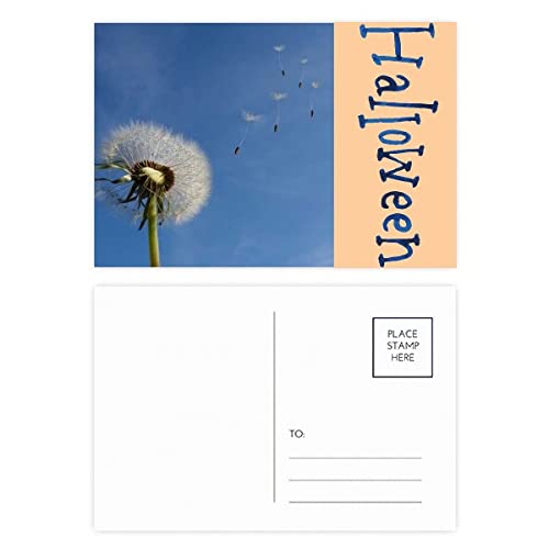 Cartes postales d'Halloween Blue Sky lot de 20 avec motif pissenlit blanc