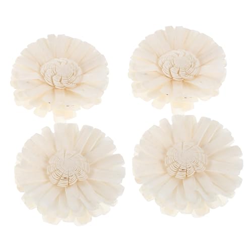 Difusor de flores secas de algodón natural NOLITOY 4 pcs