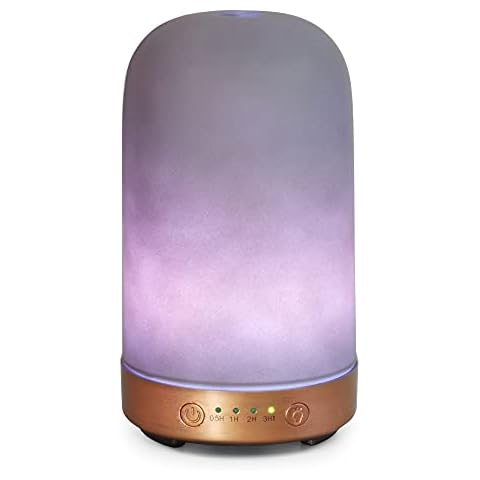 Earnest Living Difusor de Aceite Esencial con Decoración de Cemento y Luces Nocturnas Cover