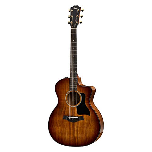 Taylor 224ce-K DLX nCAERA Top eC[ GNgbN AR[XeBbNM^[