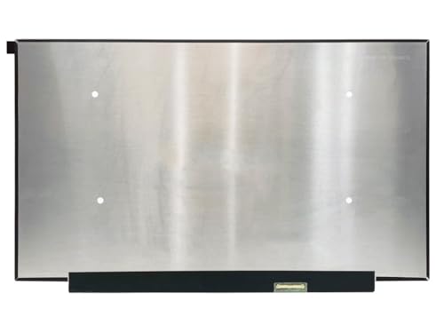 Image of 17.3 inch QHD 165HZ Screen Replacement NE173QHM-NY1 NE173QHM-NY2 DRA0 NE173QHM-NY3 BOE0977 BOE099D 18010-17350500 Laptop Computer LCD LED Display Panel (2560 * 1440 40 Pins Non-Touch)