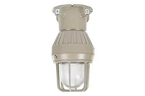 Larson Electronics 21 Watt Class 1 Division 1 LED Light - Vapor Proof and Explosion Proof - 120-277VAC - 9-32VDC - Ceiling Mount - 120-277V AC - 6000K