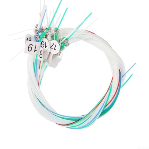 Léa Lot de 19 cordes de rechange pour instrument de musique pour musiciens