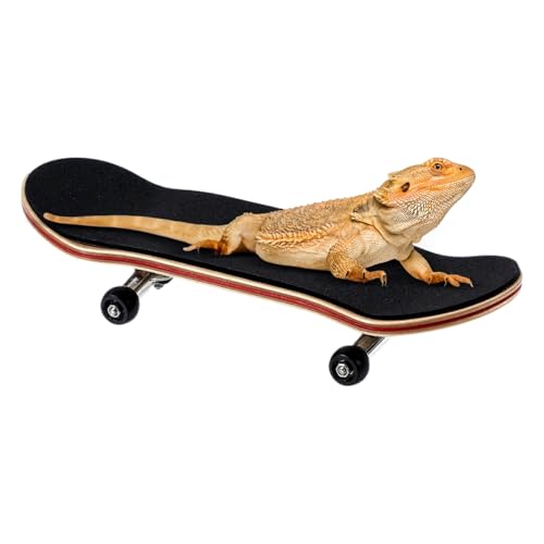 Gwtdtoad ^[gXP[g{[h, ~߃pbhtJgC, Or঒ޒgJQNKpybgQ[, ӊΉ