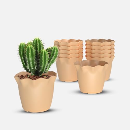 Image of YUCCABE ITALIA SHERA Flower Plastic Flower Pot Unbreakable Round Shape Planter with Drainage Holes Planter Suitable for Home Garden Seedling Indoor and Outdoor (Beige, 6 INCH - 12 Pcs)