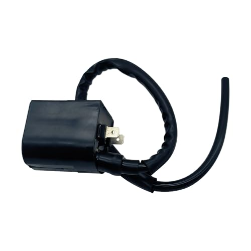 Bobina de encendido de alta chispa para Ranger 500 y Magnum 425 4