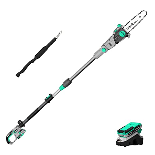 Litheli 20V Pole Chain Saw Battery Powered for Tree Trimming, 10'' Electric Cordless Pole Saw with Battery for Tree Trimming, 2.0Ah Battery&Charger, Pole Saws for Branch Cutting, Trimming by LiTHELi - Used condition - US$67.04