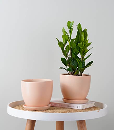 Image of Nurturing Green Set of 2 Modern Blush Pink Ceramic Pots for Home & Indoor Decor (Size: 5 Inch Wide | Comes with Bottom Plate) - [Plants are not Included]