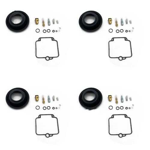 Kit para carburar Suzuki GSX1100F Katana tras largo tiempo parada