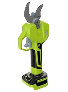 Akku Astschere Teleskop, 60mm Elektrische Gartenschere mit 4000mAh Akku, LCD-Display, 2,5m Teleskopstiel, Bürstenloser Motor für Baumbeschneidung