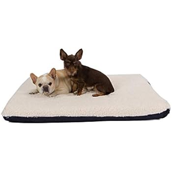 organic latex dog bed