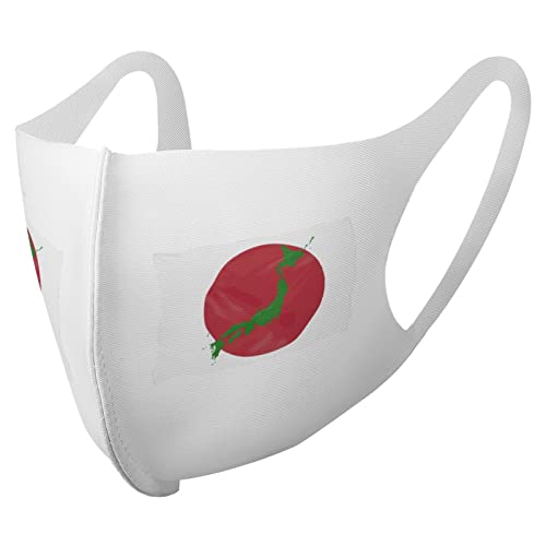 防塵 マスク 布マスク 日本 国旗 日の丸 旗 蒸れない 涼しめ 立体 大人用 屋内の場合 通気性 快適 防風マスク 洗える キャラクター グッズ おしゃれ かわいい 男女兼用