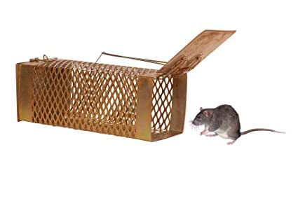ZL Enterprises Iron Rat Trap/Rodent cage/Mouse/Ghoos/Squirrel Control Golden 1 Piece