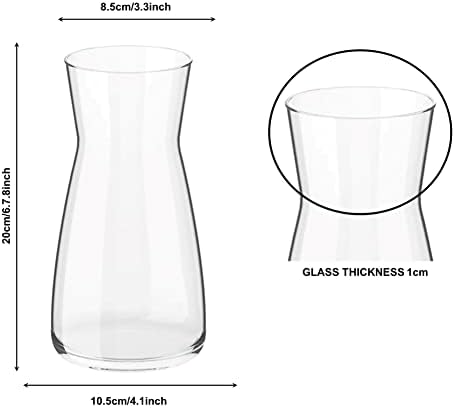 Ledoir - Vases Vase for Flowers Flower 20cm | 7.87 Inch Tall 1L Clear Glass Vase Essentials Modern Living Room Round, Flower Vase