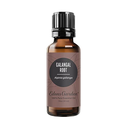 Edens Garden Galangal Root Essential Oil- 100% Pure Premium Grade, Undiluted, Natural, Therapeutic, Aromatherapy, The Best for Diffuser, Candle, Laundry, Humidifiers 30 ml (1 fl oz)
