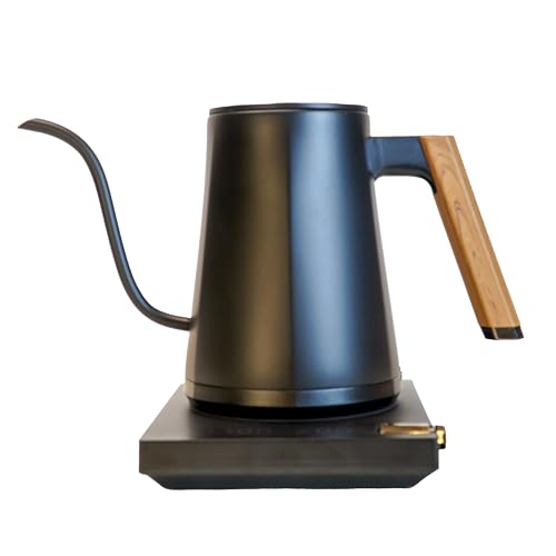 Comparison: Best Kettle For Pour Over 5 Turin Electric Pour Over Kettle | 600ml Stainless Steel Gooseneck Kettle with Precise Temperature Control, Rapid Heating, and Ergonomic Handle