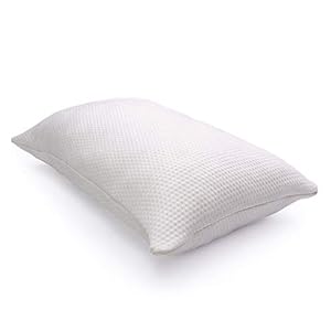 gw-BetterSleep Luxury Shredded Foam Pillow (Twin Pack)