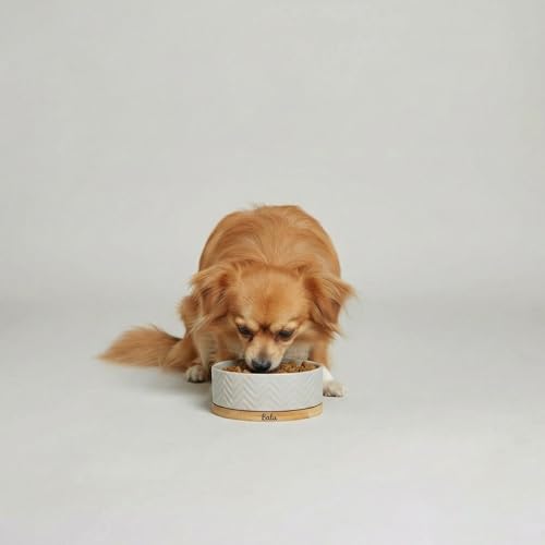 Personalisierter Bianco Keramiknapf 990 ml Bambus Grau – rutschfest, leicht & hygienisch – Futter- und Wassernapf – für mittelgroße Hunde und große Katzen – personalisiert mit Namen – Petslino