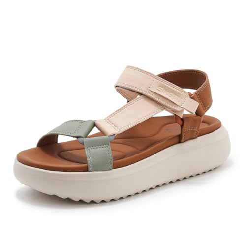 [SEINIES] T_ y fB[X RtH[gV[Y X|[cT_ xN Xgbv }WbNe[v  ʋC Ȃ  {[