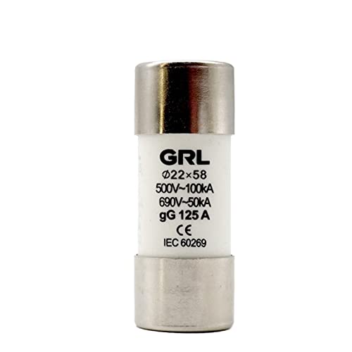 Fusible en céramique 125A RO17 RT18-125 AC 500V GG 22x58 pour protection tableau