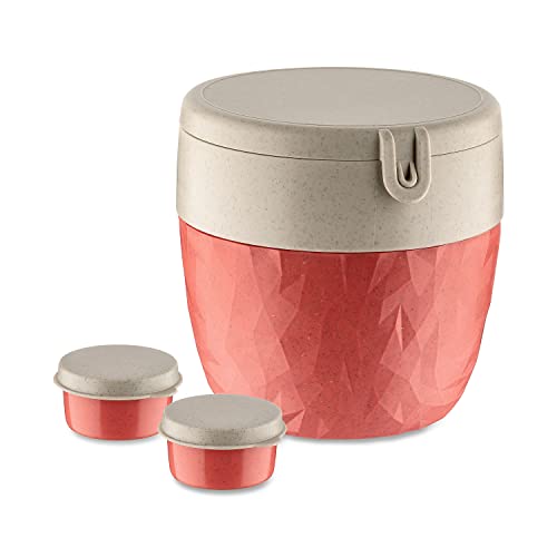 Lunchbox KOZIOL BENTOBOX M Lebensmittelaufbewahrungsbehälter Gr B H L 14 cm x 13 cm x 14 cm orange (nature coral) Lunchboxen biozirkulärem Materialspülmaschinengeeignetmelaminfreirecycelbar