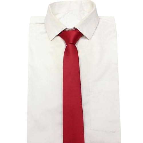 Image of TIE STUDIO Mens Formal Neckties| Standard Size | Premium fabric | Superior finishing| Packaging - Folder | Set of 1