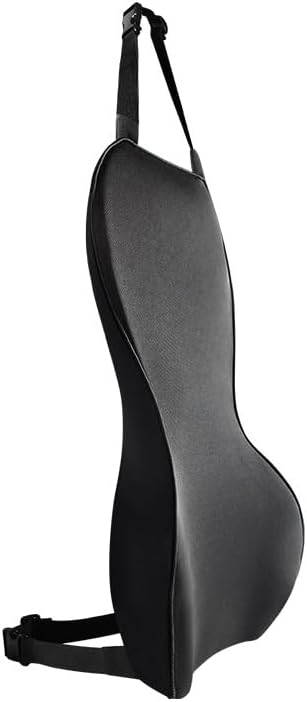 Thin and Light Back Cushion Lumbar Pillow for Home Chair, Office Chair,and Car Seat - Black