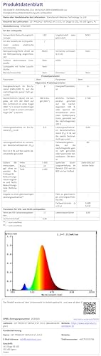 Ollny LED Lichtervorhang 2x2m, 200 LEDs Lichtervorhang Innen Stecker warmweiß 8 Modi mit Timer & Dimmbar, Lichterkette Vorhang Fenster, IP44 für Außen Ramadan Deko Hochzeit Party Wand Balkon