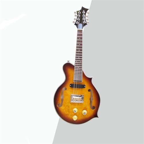 }hy Sҗp d}h vtFbViŏv