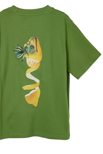 Desigual Boys' Little Casual4