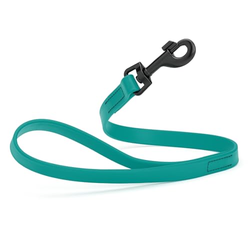 Dogline Biothane Waterproof Dog Leash Strong Coated Nylon Webbing with Black Hardware Odor-Proof Easy to Clean High Performance for Small or Large Dogs Made in USA 2 ft Lead, Blue Aqua