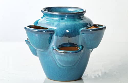 Alfresco Home Six Pocket Ceramic Strawberry Jam Planter