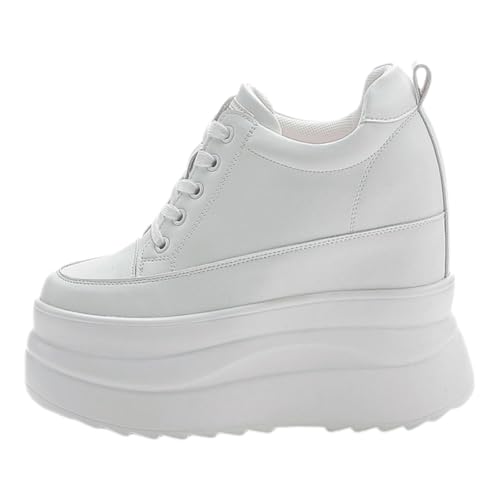 [Viaoragiosa] fB[Xt@bVq[EFbWXj[J[AfB[X`L[Xj[J[AEFbWq[O}[Xj[J[AgNVAEg\[A~߁AV[gpcAW[YAhXAXJ[gƍ킹₷