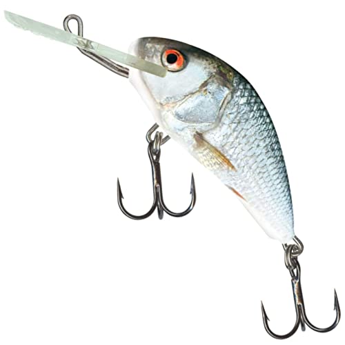 Salmo Hornet Wobbler, Salmo Farben:Real Dace, Länge/Gewicht/Laufverhalten/Tauchtiefe:5cm / 8g / sinkend / 3.0-4.0m