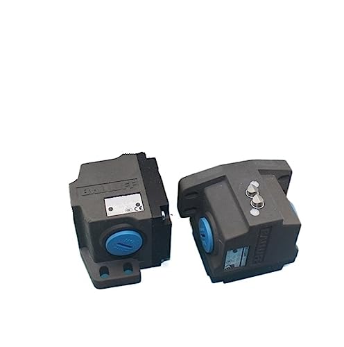 Interrupteur de fin de course pour automatisation BNS819-B03