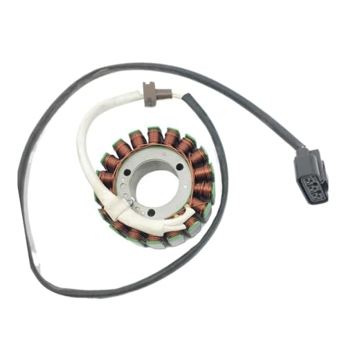 Bobine de stator magnéto haute résistance pour moteur HS800 de quad