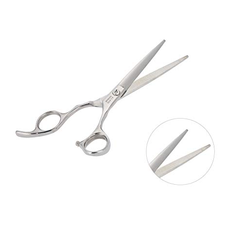 EBTOOLS 6 Inch Professional Hair Scissors Set, Includes Thinning Shears - Image 2