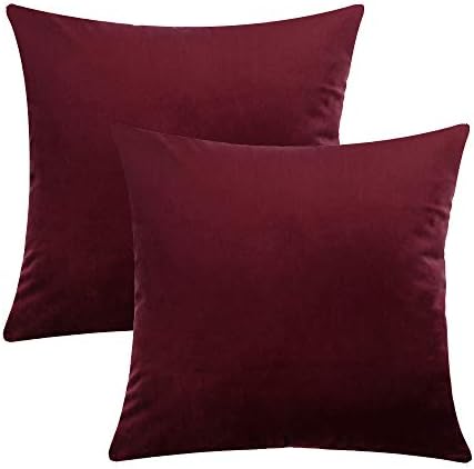 COWORK-UP Velvet Soft Cushion Cover Throw Pillow Case Decorative Square Sofa Pillowcase for Home Xmas Decor Favor, 18 x 18 inch / 45 x 45 cm with Invisible Zipper, Set of 2