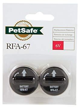 PetSafe 6-Volt Lithium Battery 10-Pack #TOP13