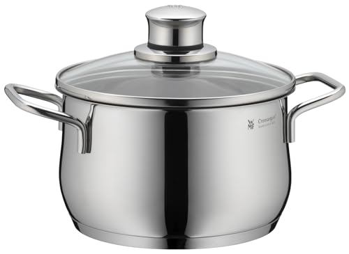 WMF Diadem Plus Kochtopf klein 16 cm, Glasdeckel, Fleischtopf Induktion 2l, Cromargan Edelstahl...