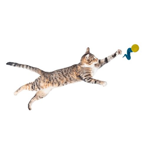 Dezi & Roo Wiggly Balls Fun Cat Toy Bouncing Ball Perfect for Cats of All Ages - 3 Pack - Assorted Colors