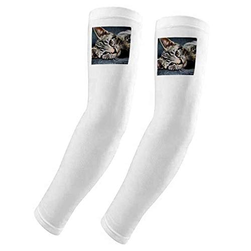 Guante con diseño de gato para evitar quemaduras al cocinar