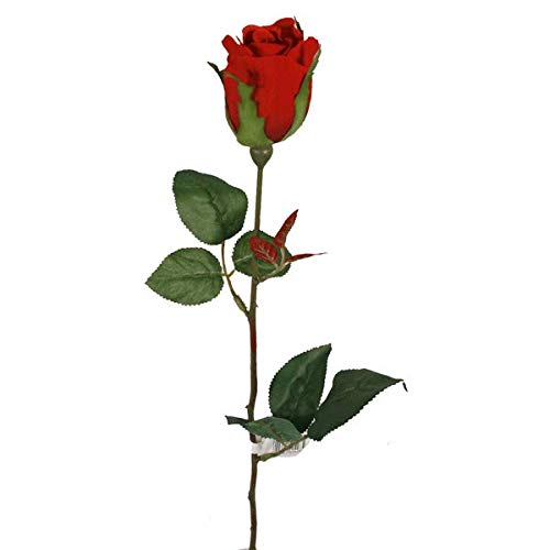 FloristryWarehouse Artificial Silk Bright Red Roses x 12 Stems
