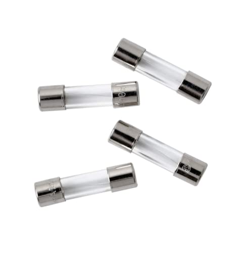 Penglin 20Pcs Glass Fuses 110V 125V 8A Slow-Blow Time Delay Fuse Light Strings Replacement Glass Cartridge Fuse 0.2 X 0.79 Inch / 5 X 20 Mm… #TOP6