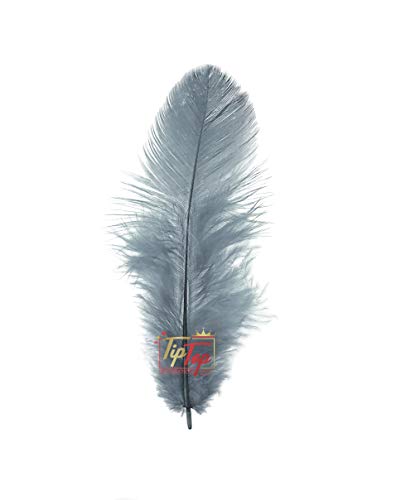 Image of TIPTOP DECORATION Natural Dyed Feathers 10 cm (80 pieces) (Grey)