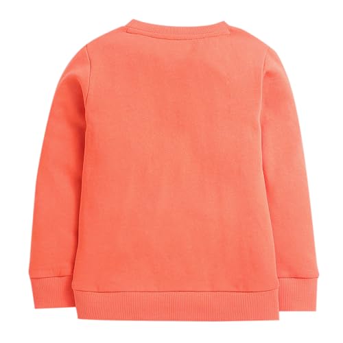 Image of Hopscotch Boys Cotton Round Neck Sweatshirts