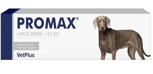 Promax Nutritional Supplement for Large Dogs 30ml Syringe (Packaging May Vary)