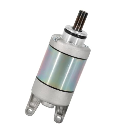 Démarreur électrique M1060060 pour remplacer la pièce usée de moto RTR 160