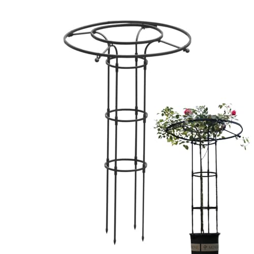 Estructura para Plantas Trepadoras De Exterior | Soporte para Enredaderas De Jardín,Estructura Metálica Vertical En Forma De Paraguas para Flores Y Plantas Trepadoras