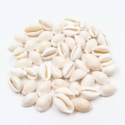 Pooja Kodi Set Safed Kaudi Set Safed Kauri Set Peck of 51 Pieces , White